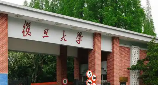 上海985，又成立母基金了